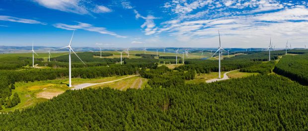 Imagery - Driving Decarbonisation in the Public Sector